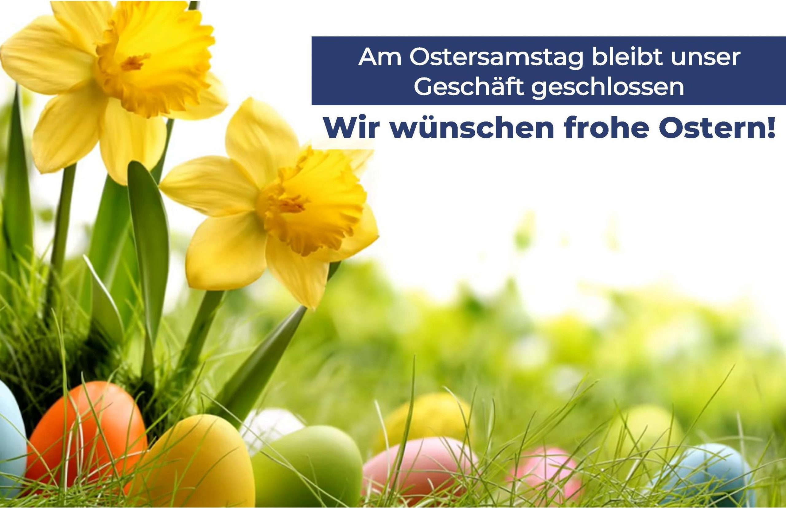 Narzissen und Ostereier -  Frohe Ostern!